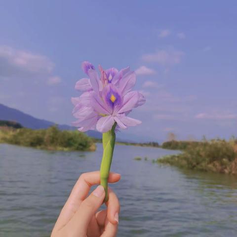 百花齐放，万物复苏。