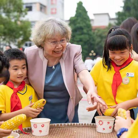 【喜讯】十年磨一剑！王宅小学科研成果连续三年省级获奖