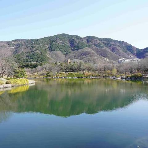 北京植物园        2022年4月2日