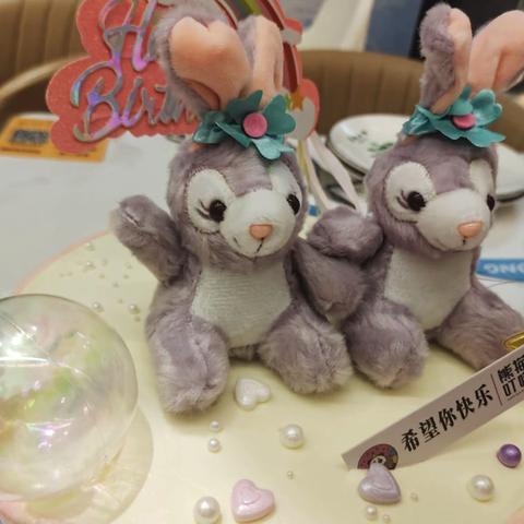 优优十一岁生日