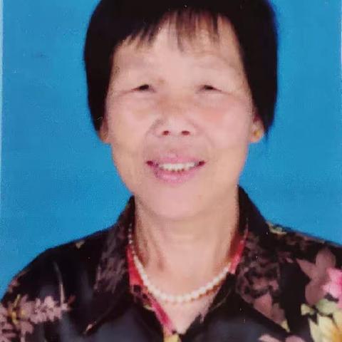 化蛹成蝶的美篇