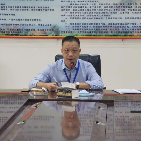 石碌镇政府召开“防风险、除隐患、保安全、迎二十大”安全生产专项整治行动