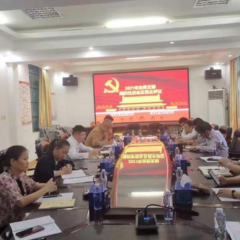 业务党支部召开2022年组织生活会和民主评议会