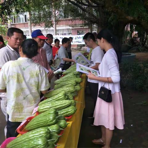 屯昌县农业检测预警中心开展第三届苦瓜文化节宣传活动暨绿色食品宣传