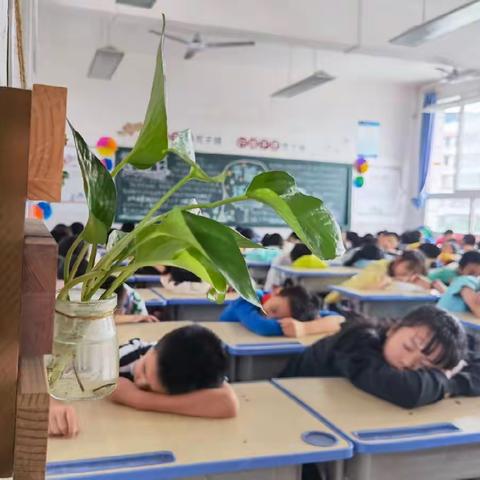 “教室”会说话，书香润童心