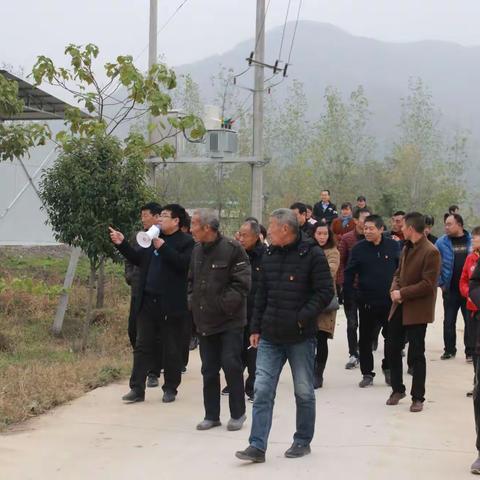 陕州区：人社局“党建先行引领，合力脱贫攻坚”活动