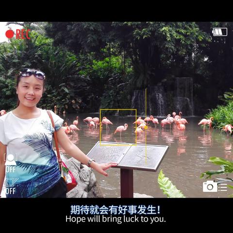 春雨润物，明德育才————武都八一中学优秀教师风采展示（一）