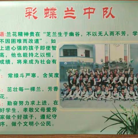 彩蝶兰中队的美篇