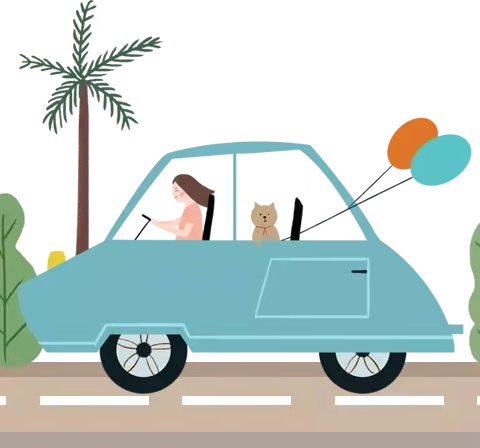 【空中乐玩】小班级部第十期