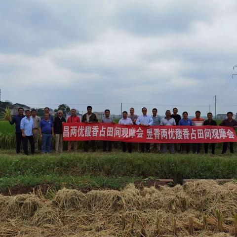 冒雨奔袭百公里，就为抗倒优质的你——记攸县茶陵组团赴衡阳观摩昌两优馥香占、昱香两优馥香占