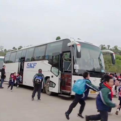 南岩小学三年级研学白鹭湖生态园