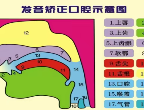 来了来了，构音障碍治疗来喽!!