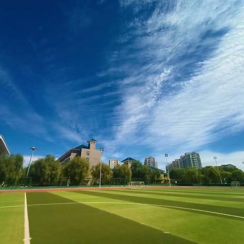 大成学校小学部第十三周值周工作简报