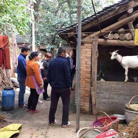 督查动态调整   助力脱贫规范