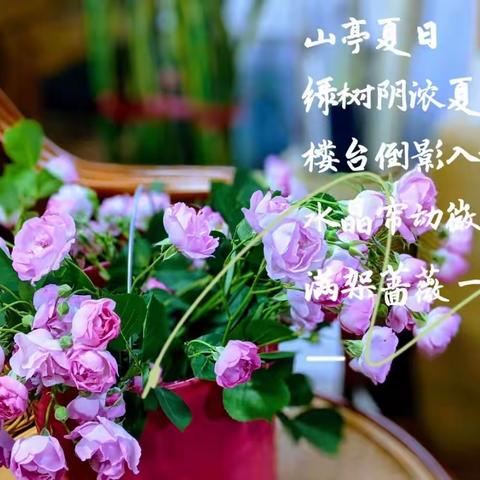 夏日绿荫教研畅，满架蔷薇一院香——四年级语文组半日教研