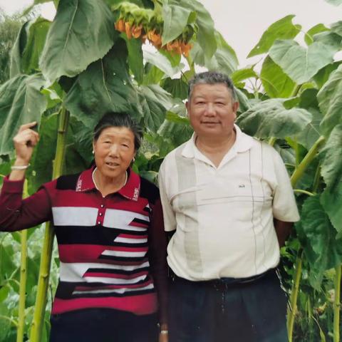 《相亲相爱一辈子》