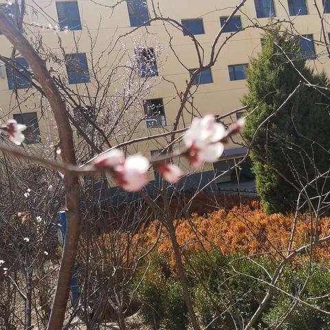 “安心复学  要从心开始”