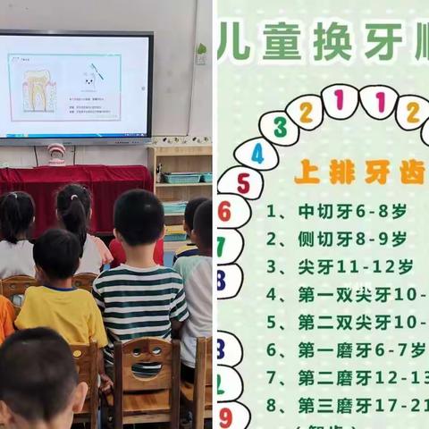 呵护健康  从“齿”开始——胜利幼儿园大二班开展爱牙护牙主题活动