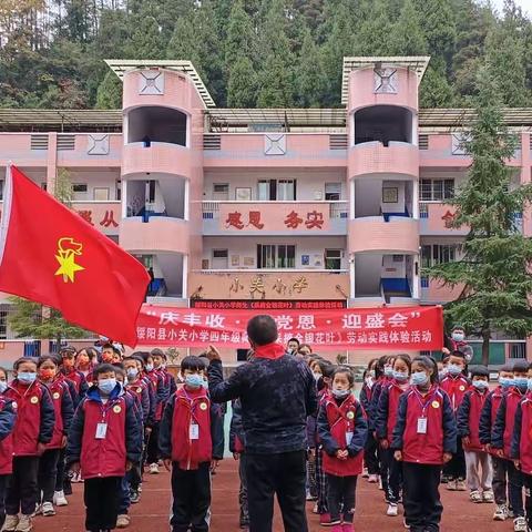 培金枝玉叶“树”育勤劳致富“花”