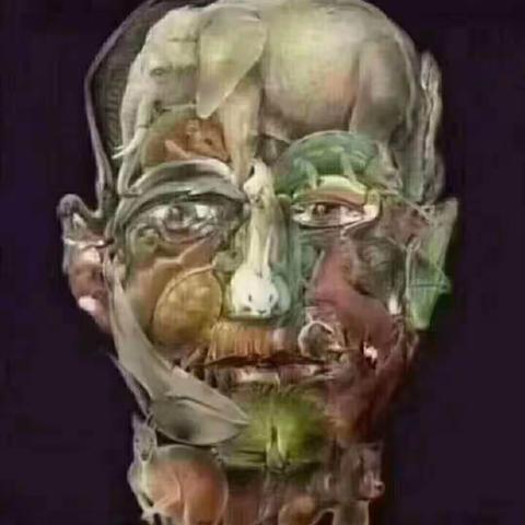 找骆驼
