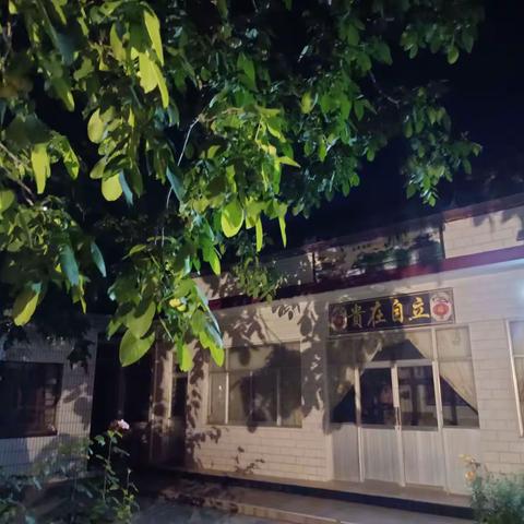 老家. 核桃树. 父亲