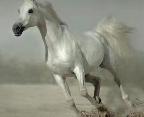 2023年8月2号是父亲和我永别33年的祭日