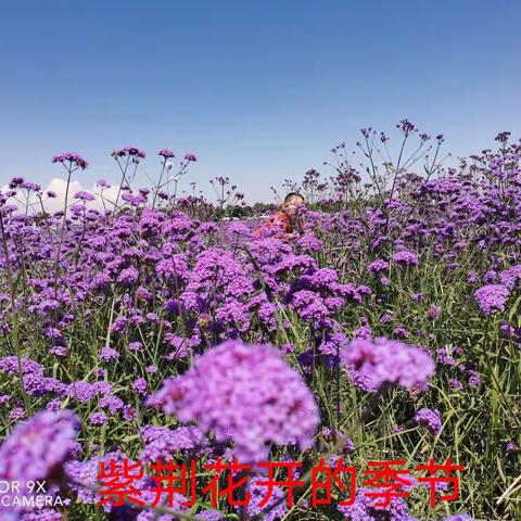 随手拍：点滴记忆