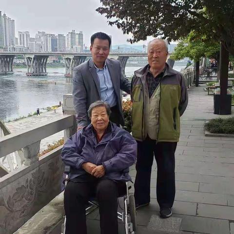 父母的旅游情节