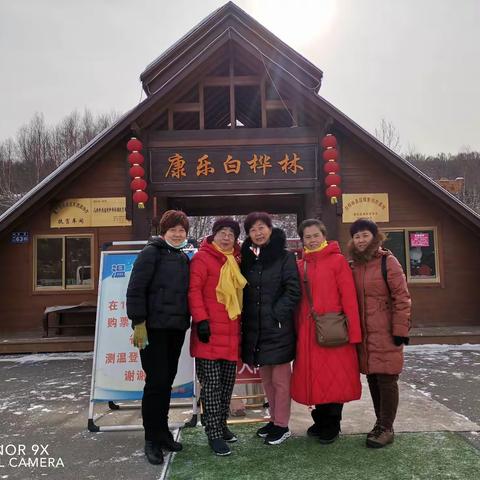 美丽甘肃之冰雪白桦林