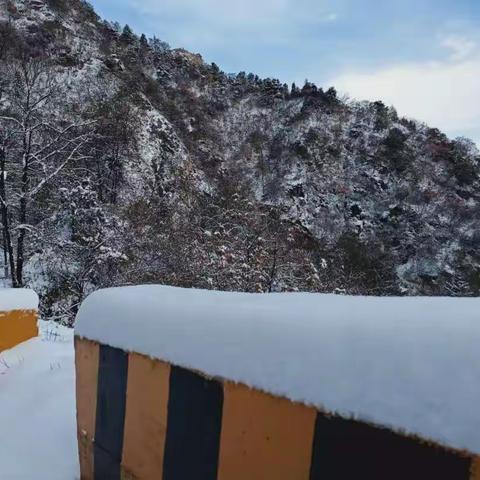 扫雪除冰保安全，终南山公司在行动