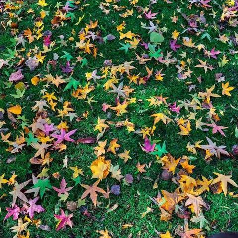 第二次书法比赛