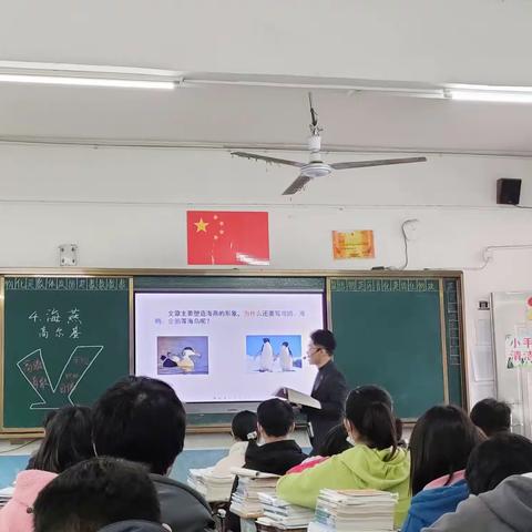 听课评课 引领成长——湾头中学语文公开课教研活动纪实