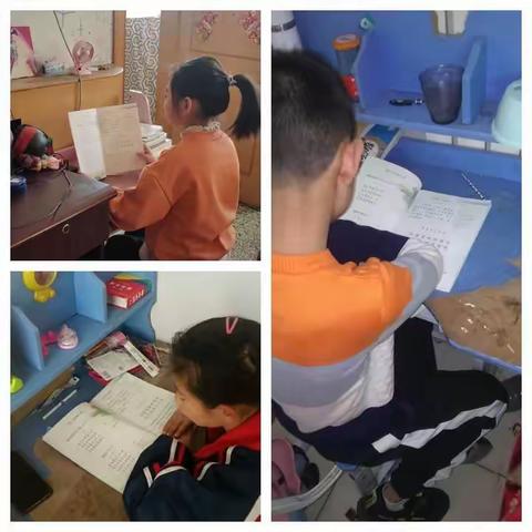 静待花开日 不负韶华时