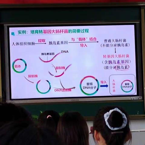 以研促教—乐东中学生物组第三周教研活动—公开课及评课