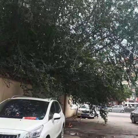 【天桥药山】“我为群众办实事”——北辛社区网格员为群众安全在行动