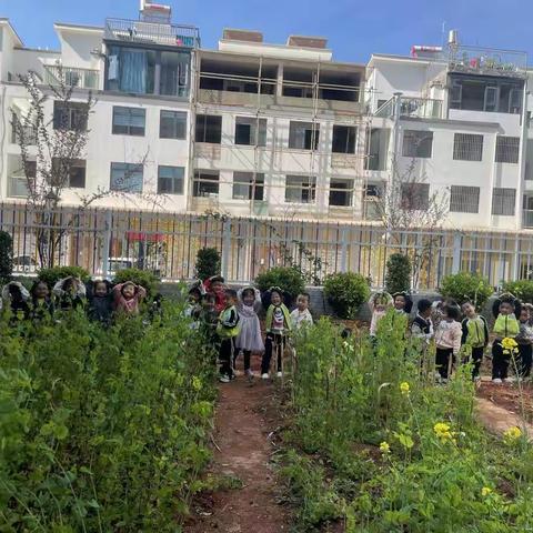 小三班的美好生活💕第三周