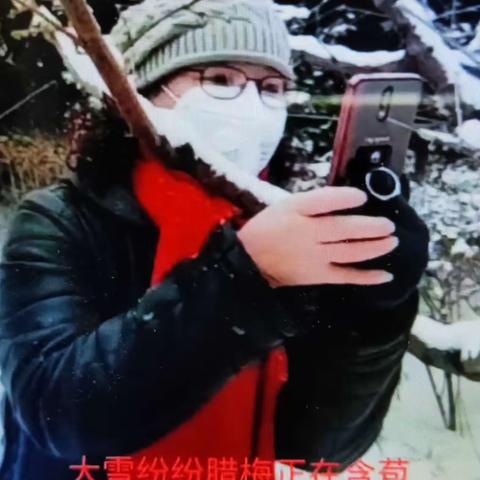 不寻常的2020年初~用手机拍照的腊梅花！
