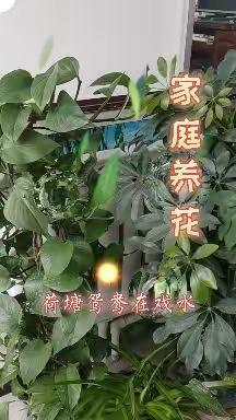 老朽秀才孟金山的美篇