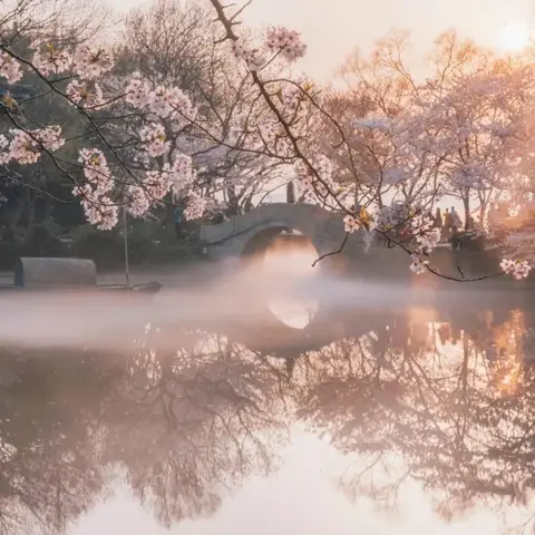 【杭州集合】阳春三月，华东精华景点13日游，苏州古镇，樱花海岛一网打尽