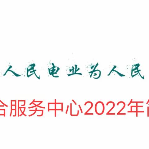 综合服务中心2022年工作简报