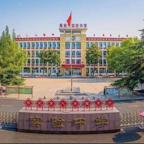 聚焦学习任务群，强化学生语言力—寿光市实验中学小学部语文教研活动