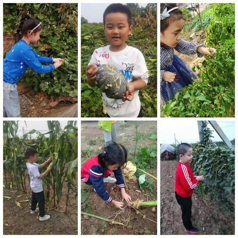 以劳励志，以劳育美，记录美好，分享感动！——记寿光市实验中学二年级五班劳动教育