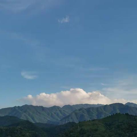 以梦为马，不负韶华