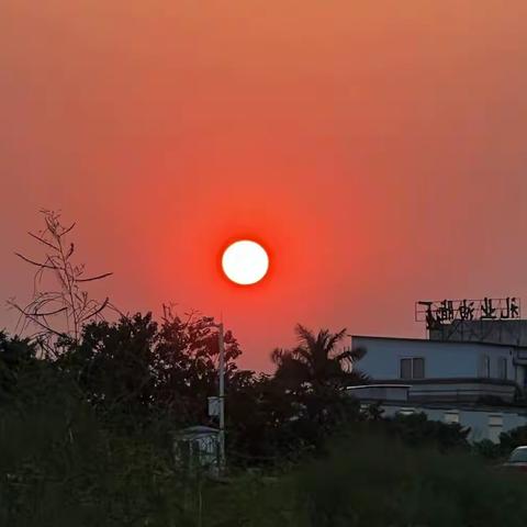 顺德区伦教太极拳协会的美篇