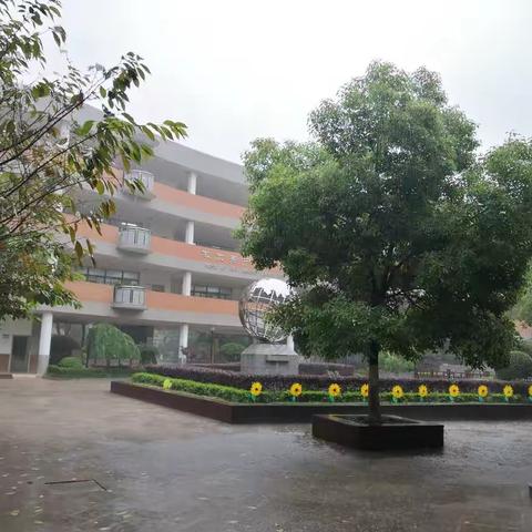 学习，我们一直在路上 ——赴南京金陵中学实验小学跟岗培训记（三）