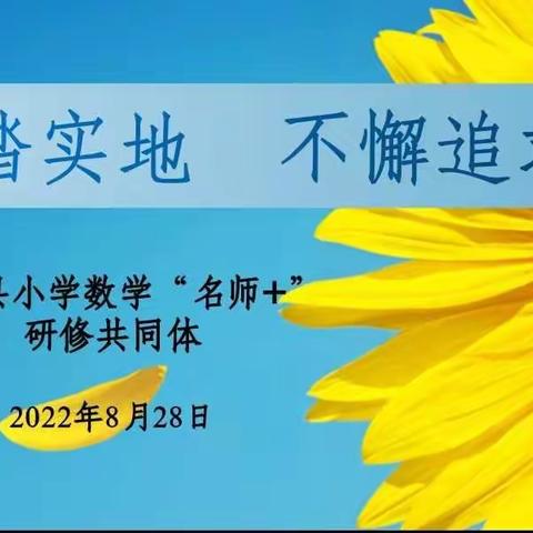 经验共分享 交流促成长----张美美“名师+”研修共同体经验分享活动纪实