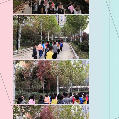 永城市第三幼儿园                            致远四班—寻找秋天