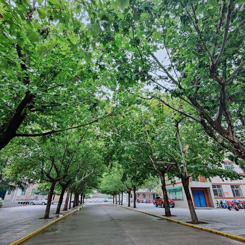 薪火相传共成长———实验上王两校毕业班交流研讨