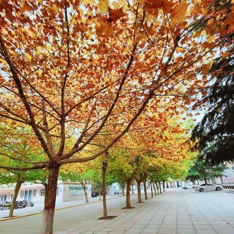 在教学中研讨，在研讨中成长——县教研室来实验中学视听调研