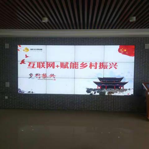 大名县召开“互联网+”赋能乡村振兴培训会
